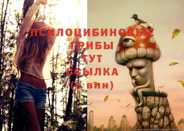 первитин Семикаракорск